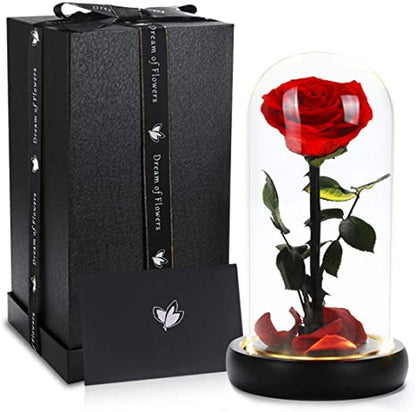 Enchanted Rose Valentines Gift