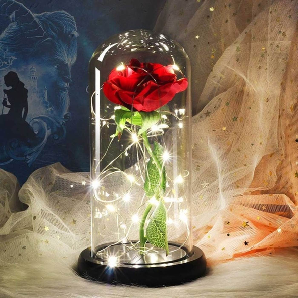 Enchanted Rose Valentines Gift